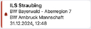 Einsatz 31.12.2024 SMS
